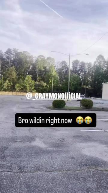 @(Melo 🛳️ )