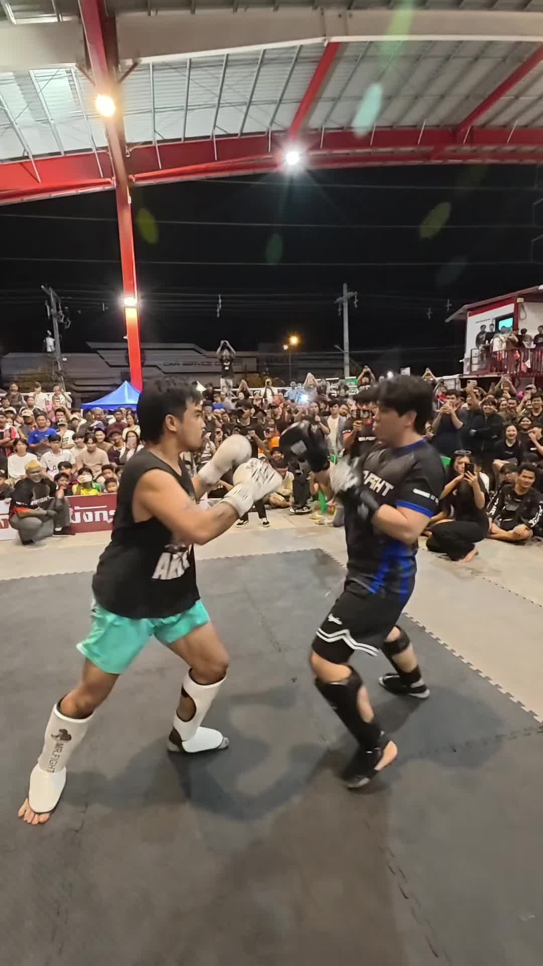 @Mr.Fight