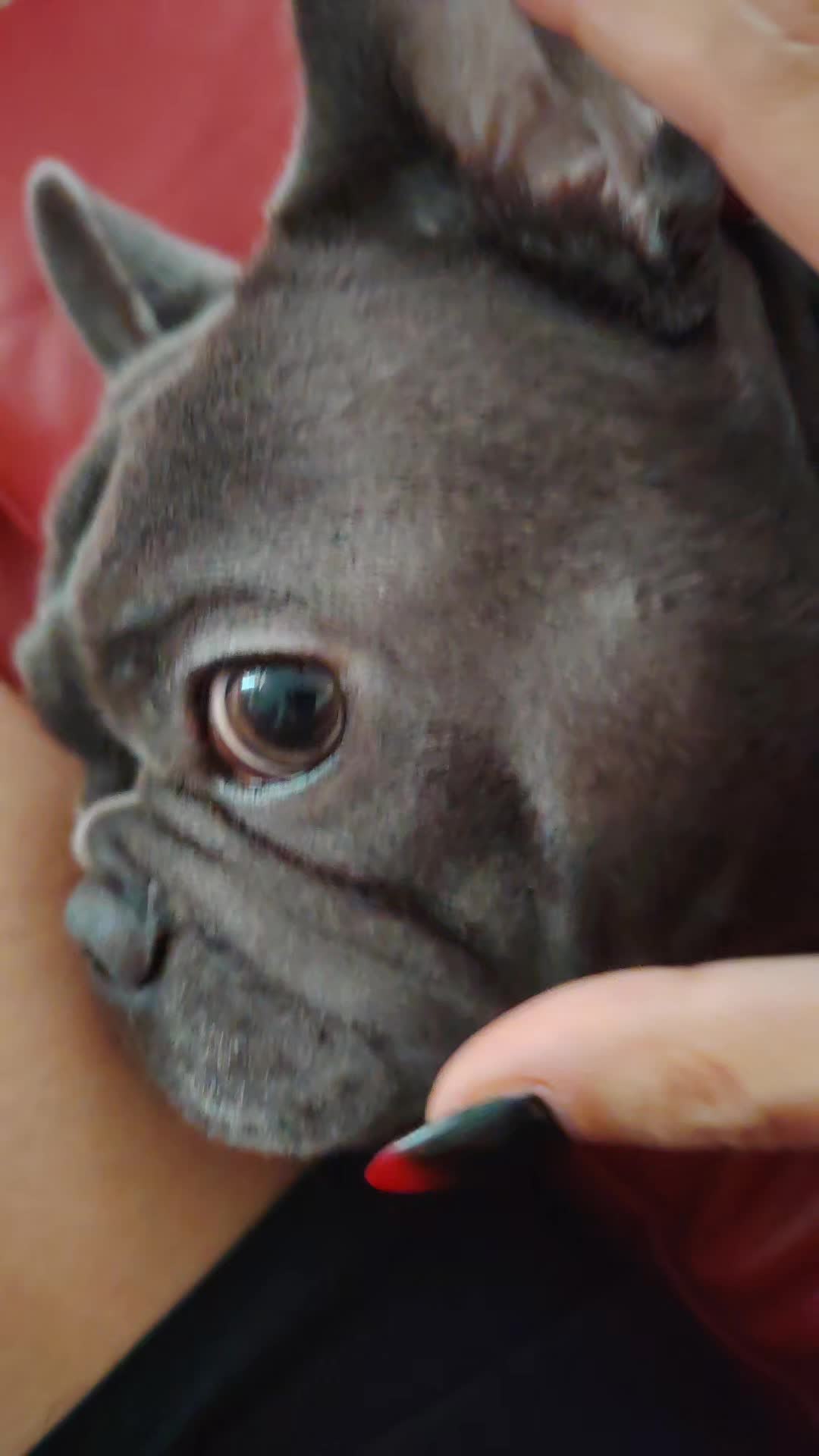 @🐾Pablo🐾