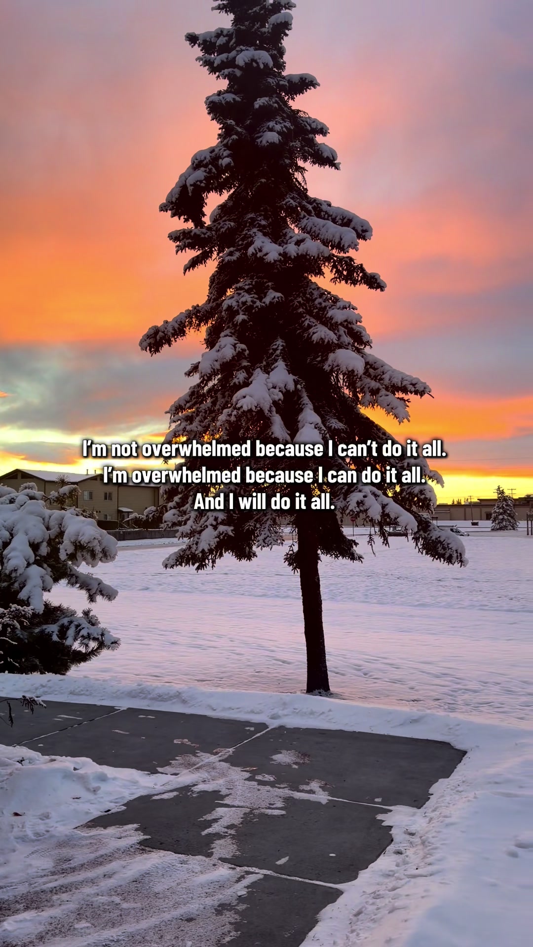 @Alliee B. | AK & Motherhood