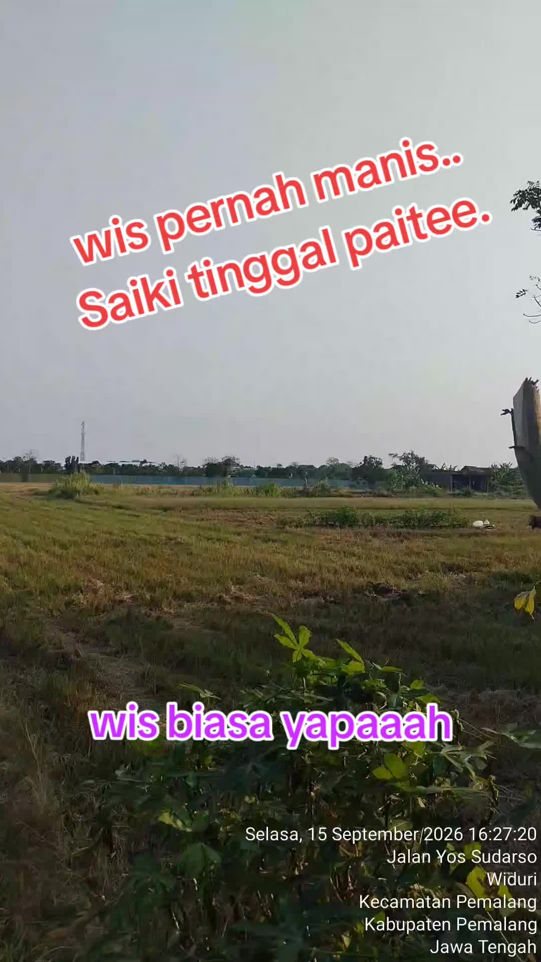 @Dewa Dewa