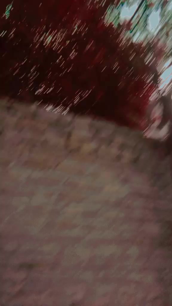 @janig03156367846