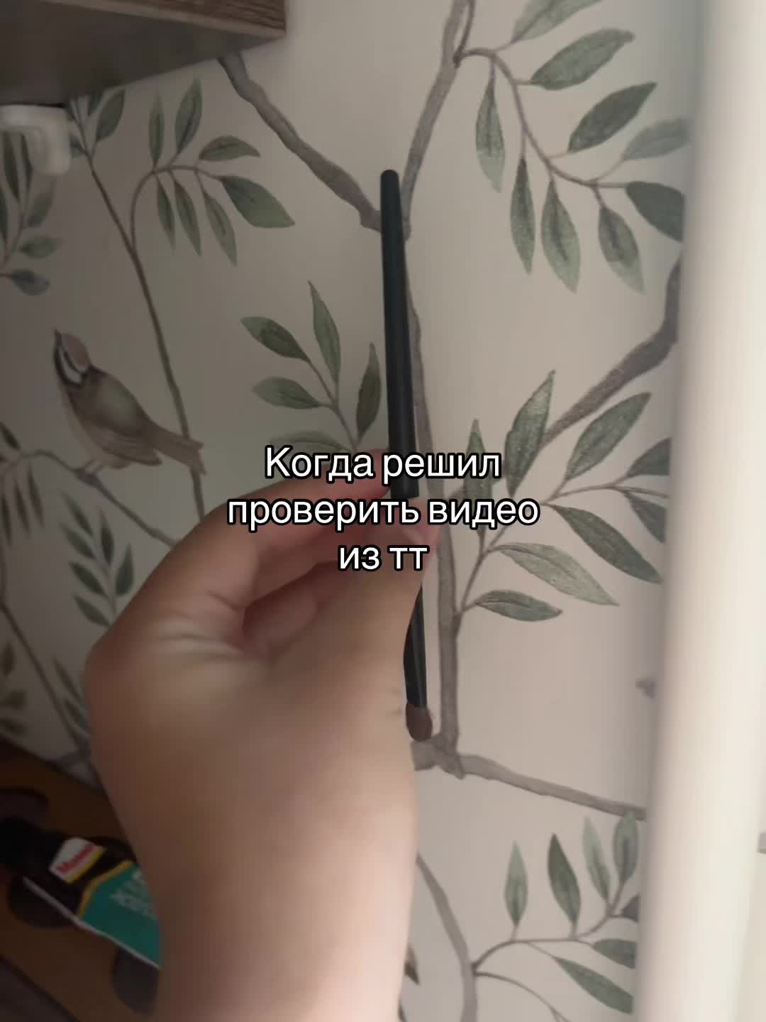 @🆕“𝙆𝙞𝙩𝙩𝙚𝙣𝙨•🇹🇭