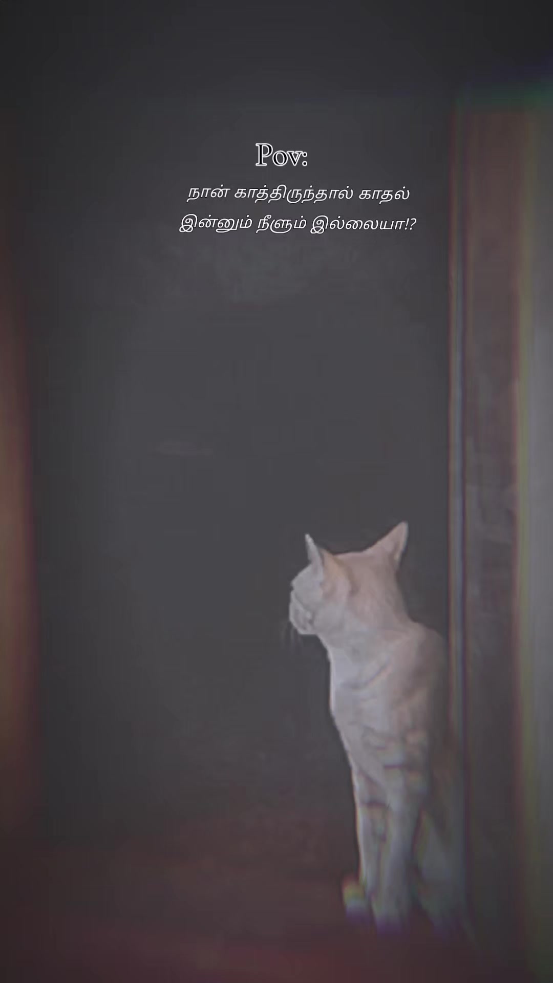 @Šrı Købı Øffıcıăl