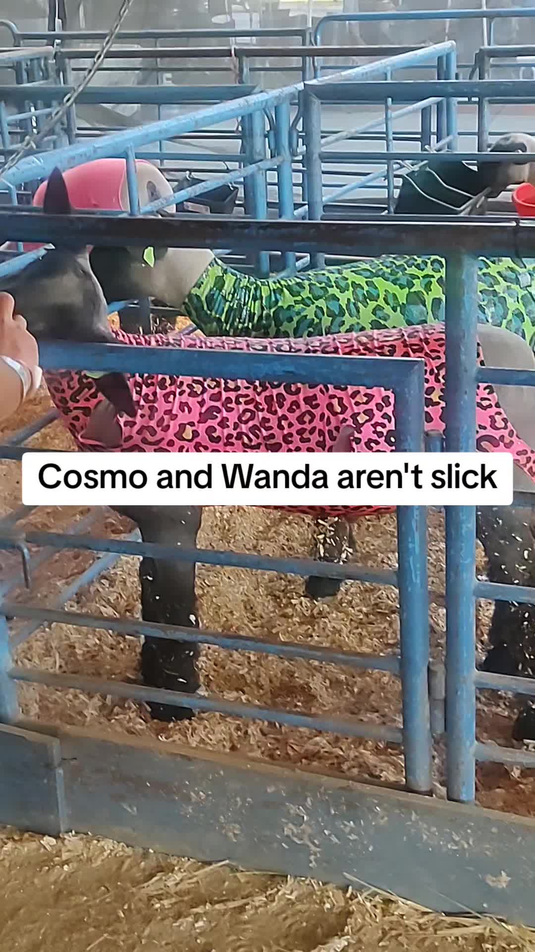 @Sav