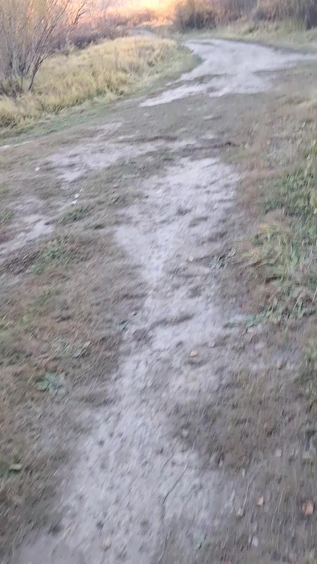 @tankistayyyffff