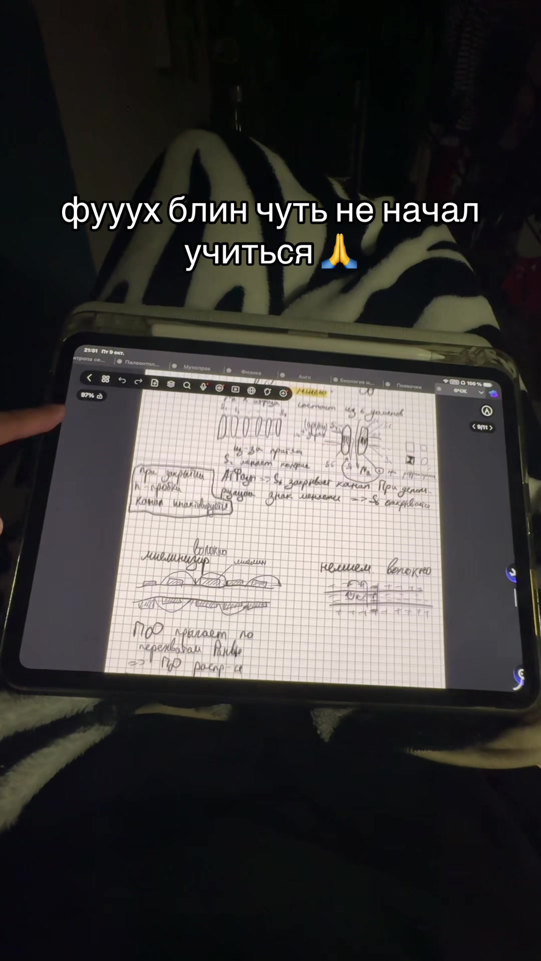 @тгк: сдвг и ерунда