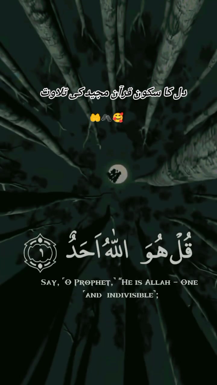 @گمنام دل❤️🩹