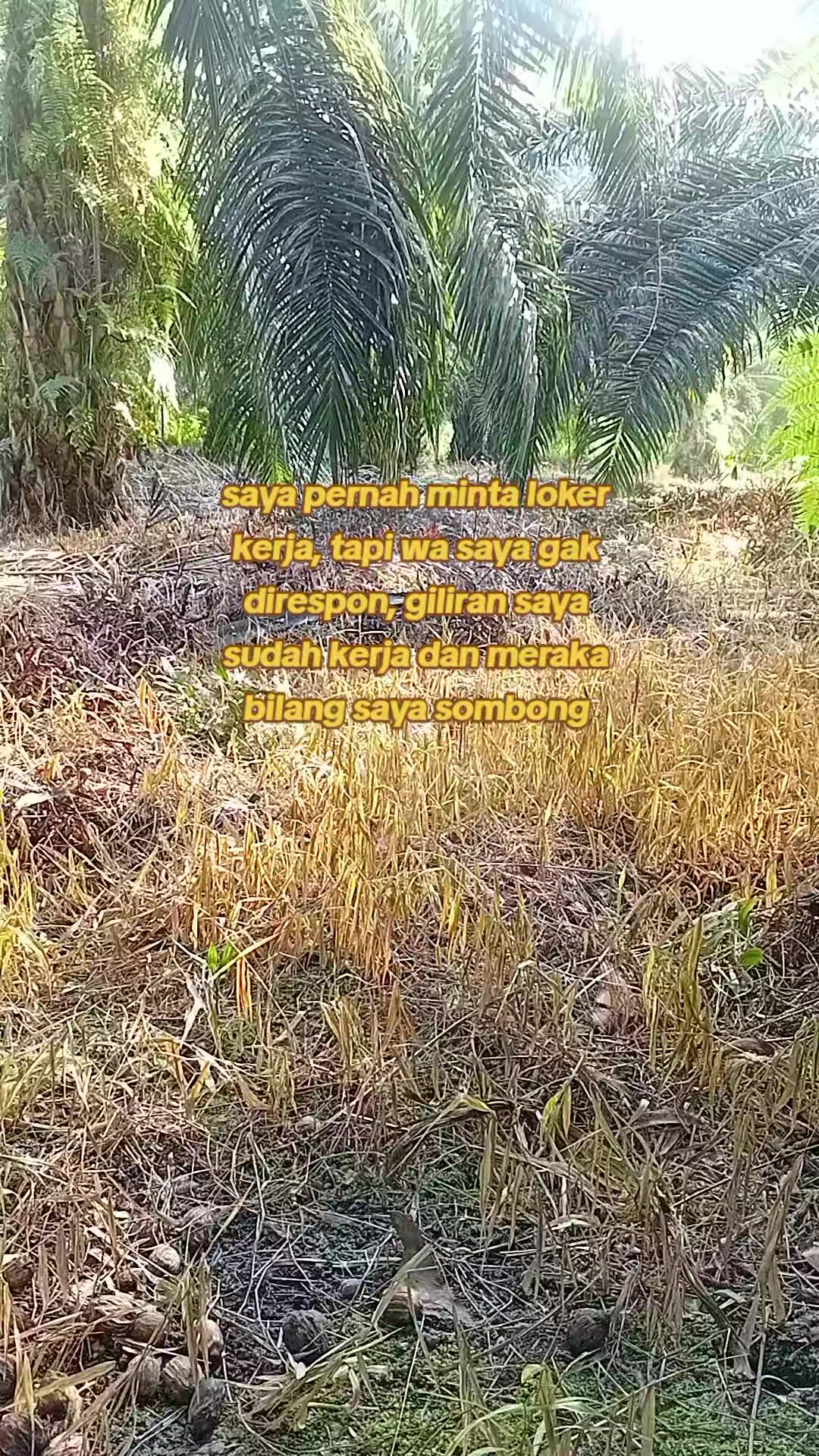 @wisnhu sayur🧅🌶️🥬