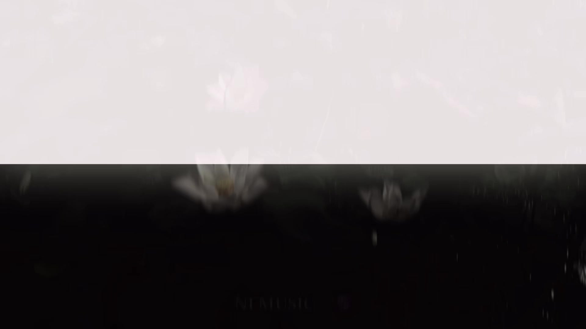 @๐๐ ๐๐๐๐๐ ๐ตโ