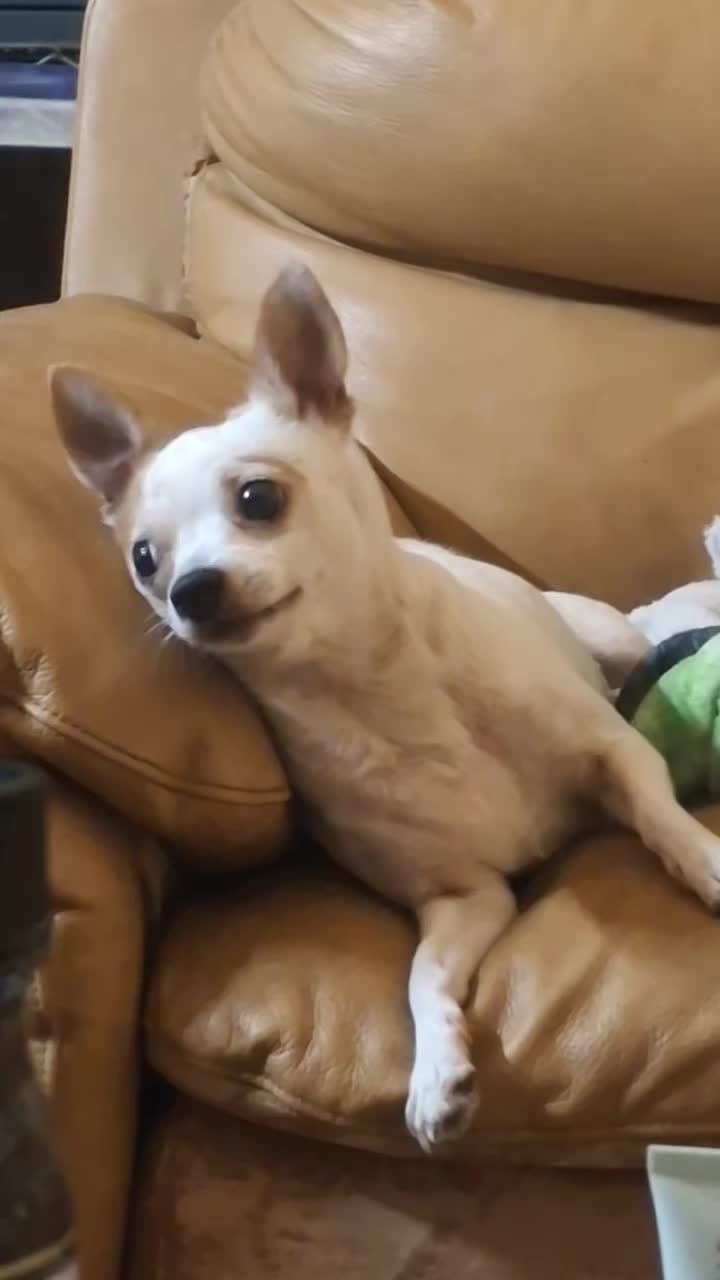 @💜 ꪖꪑ᥇ꫀ᥅