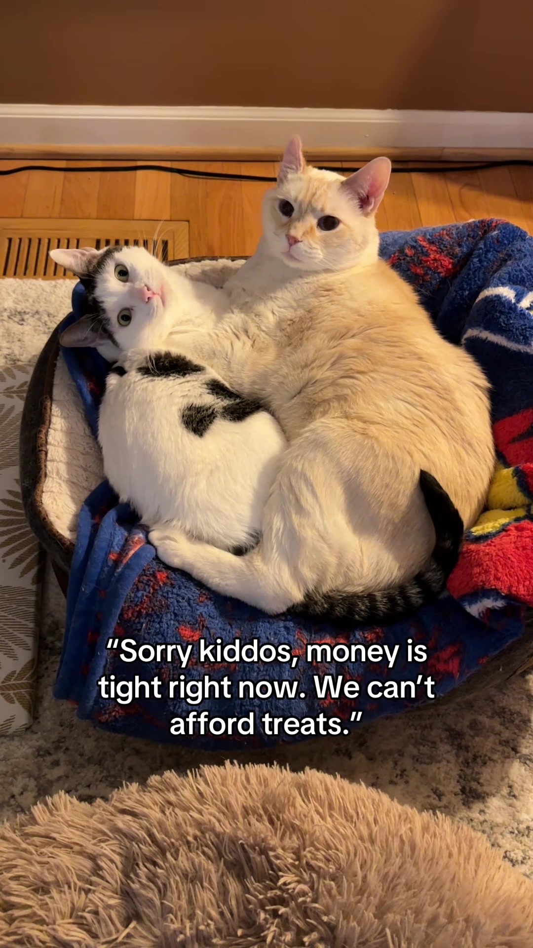 @Angel