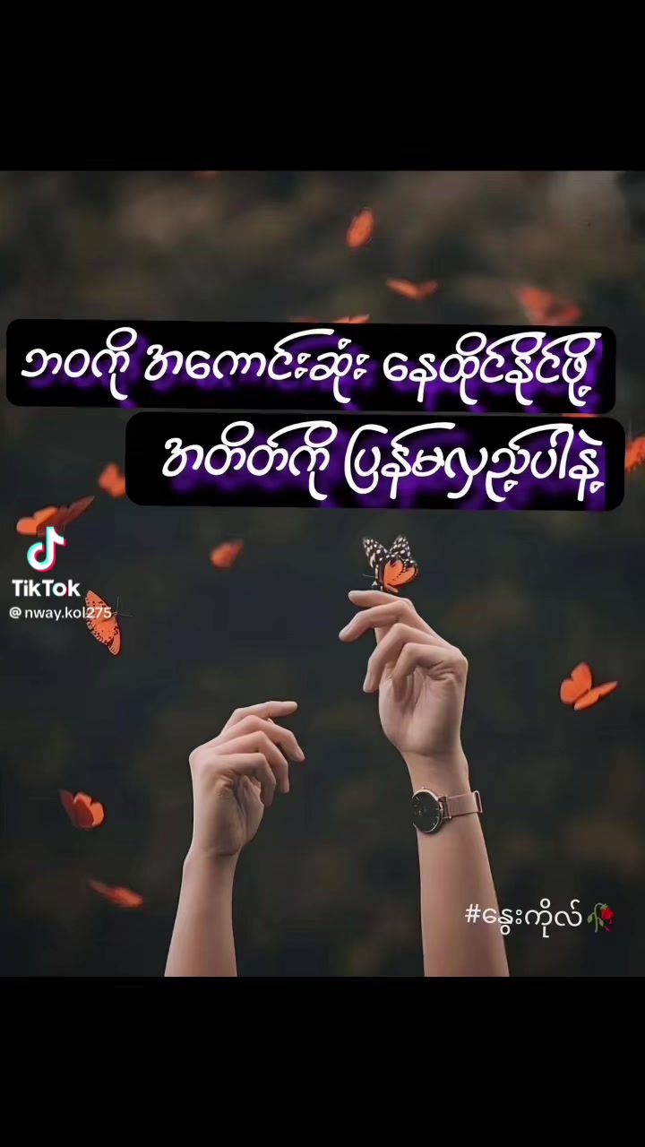 @Pachitelay