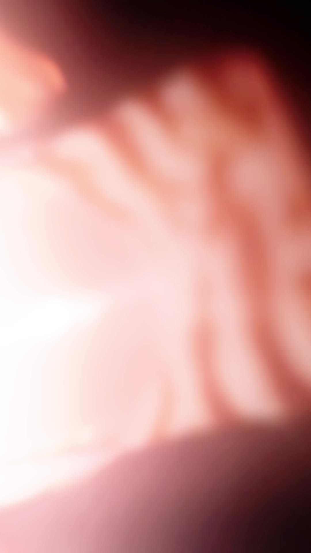 @ℳ ৻ꪆ
