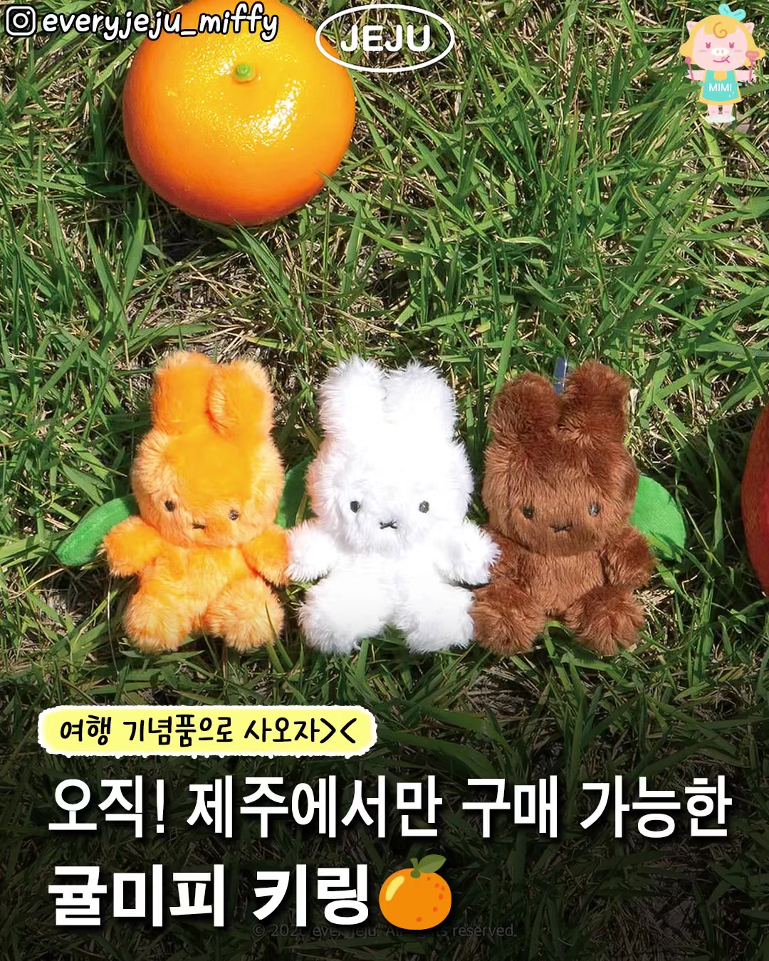 @제주핫플
