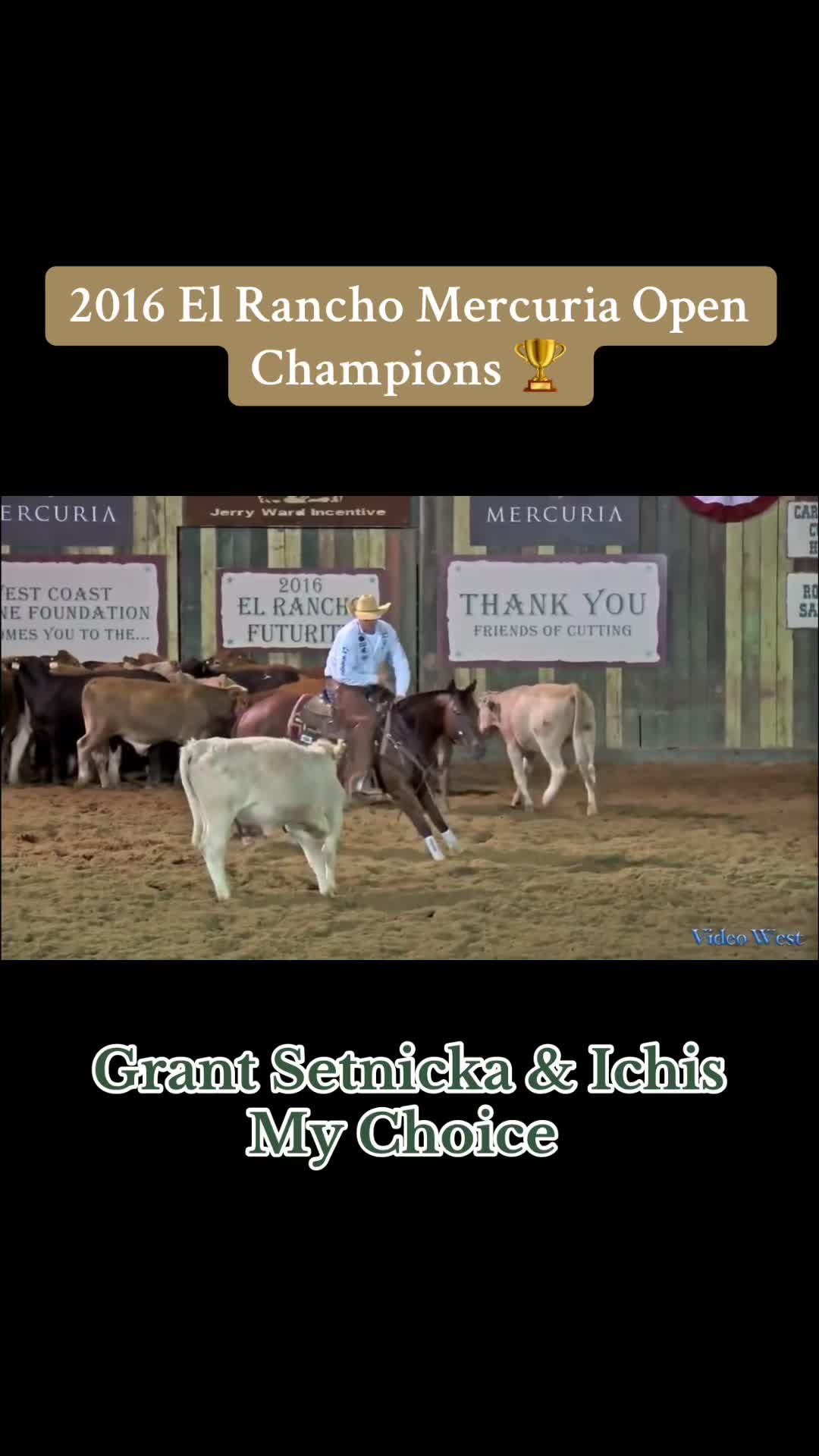 @cuttinghorsess