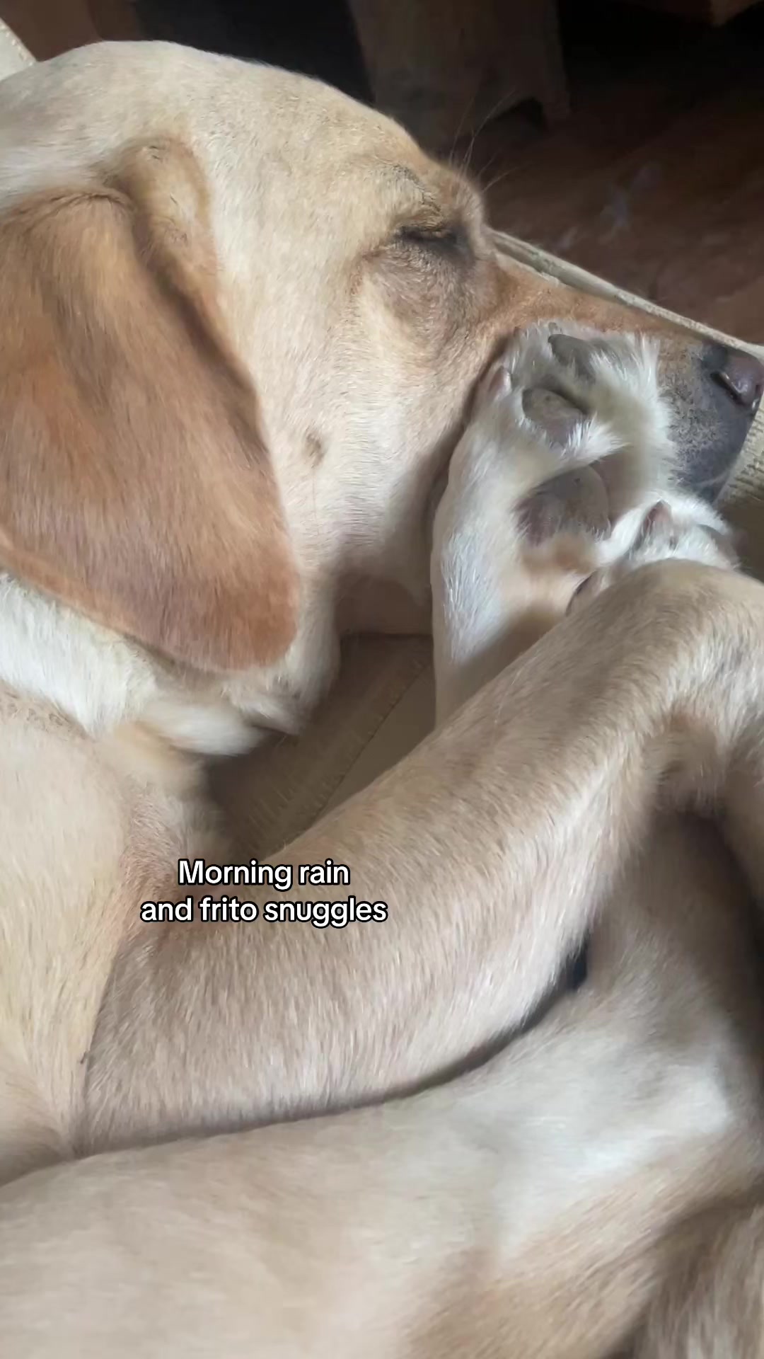 @elliechasingsunrises