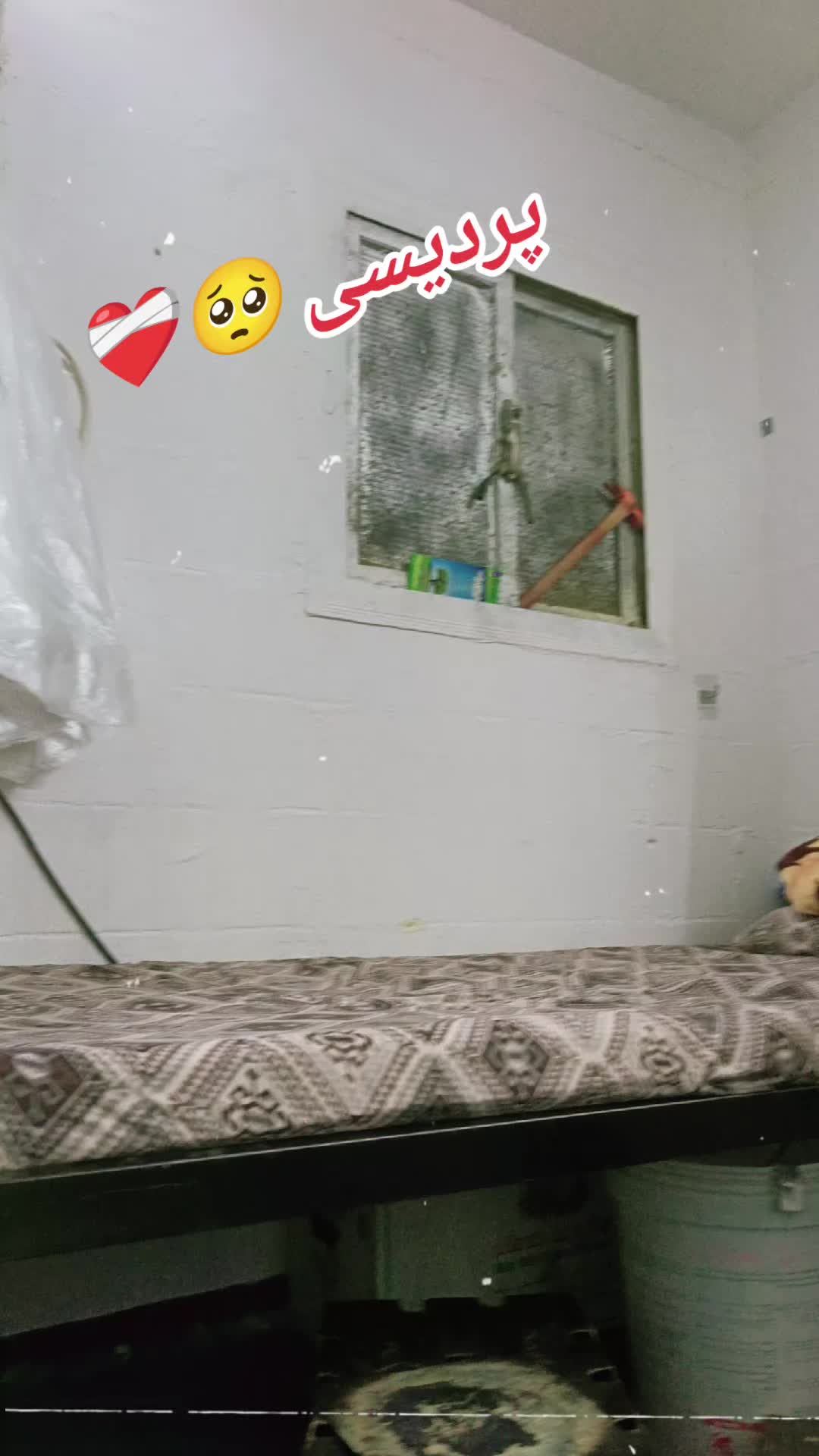 @⭐彡[ꜱɪʏᴀʟ ᴏꜰꜰɪᴄɪᴀʟ]彡⭐