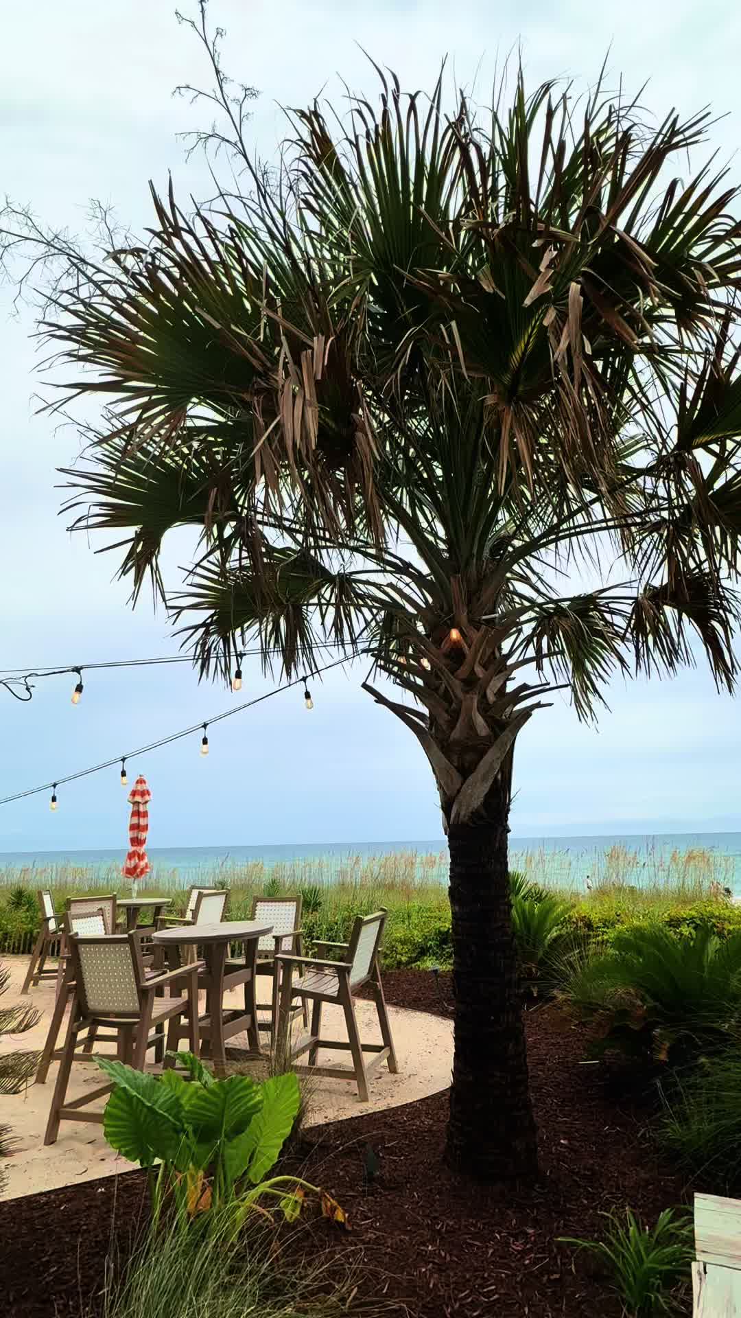 @🏝️OBX SANDY🏝️