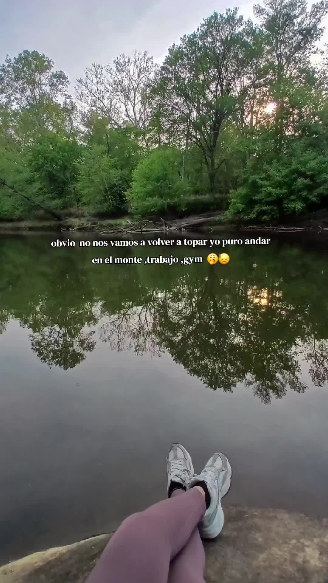 @🐚noyolarodriguez