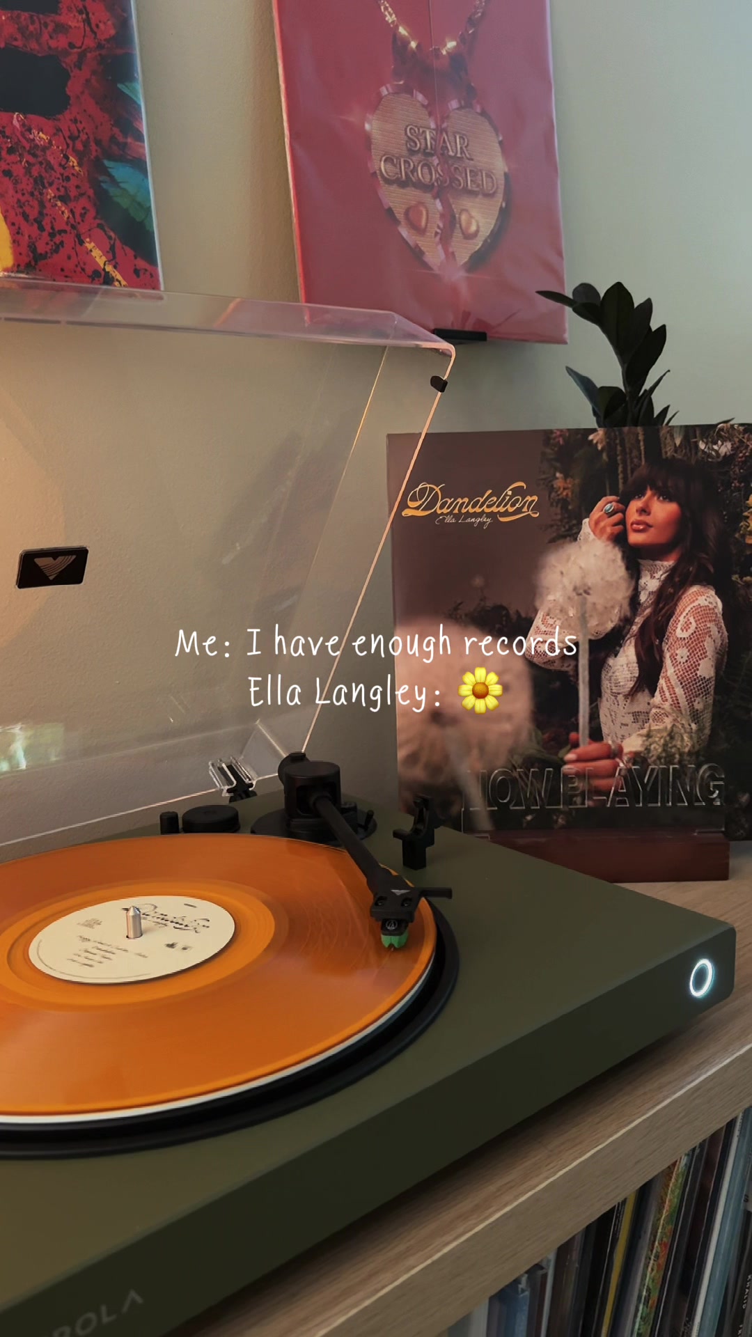 @Sam | Vinyl Record Collector