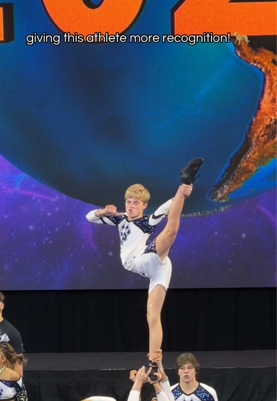@senior elite