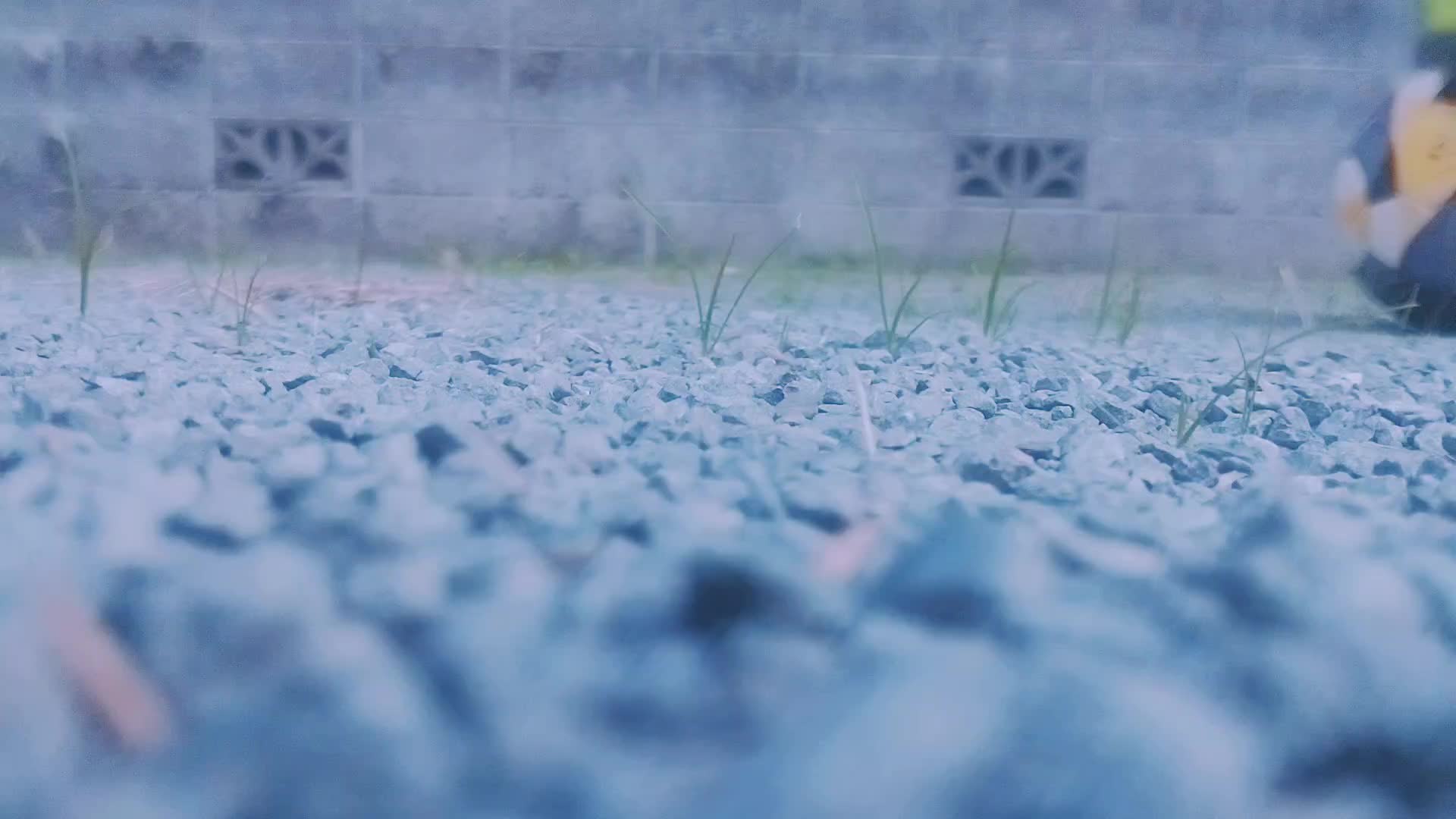 @もやし男「Ｎ」