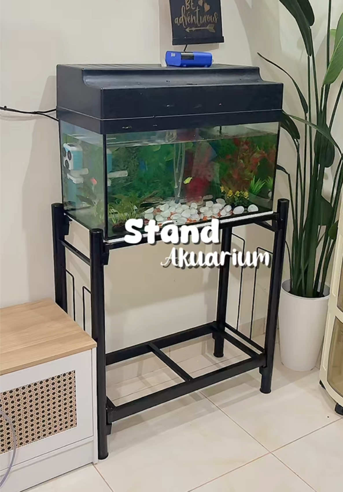 @๐ฎ๐ฝ๐ถ๐ถ โฟ ๐ | racun tiktok โจ