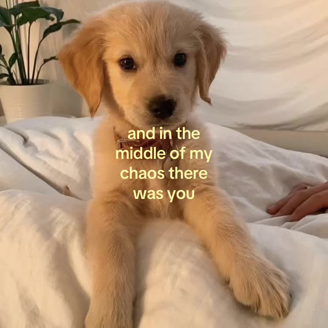 @motionsoflove