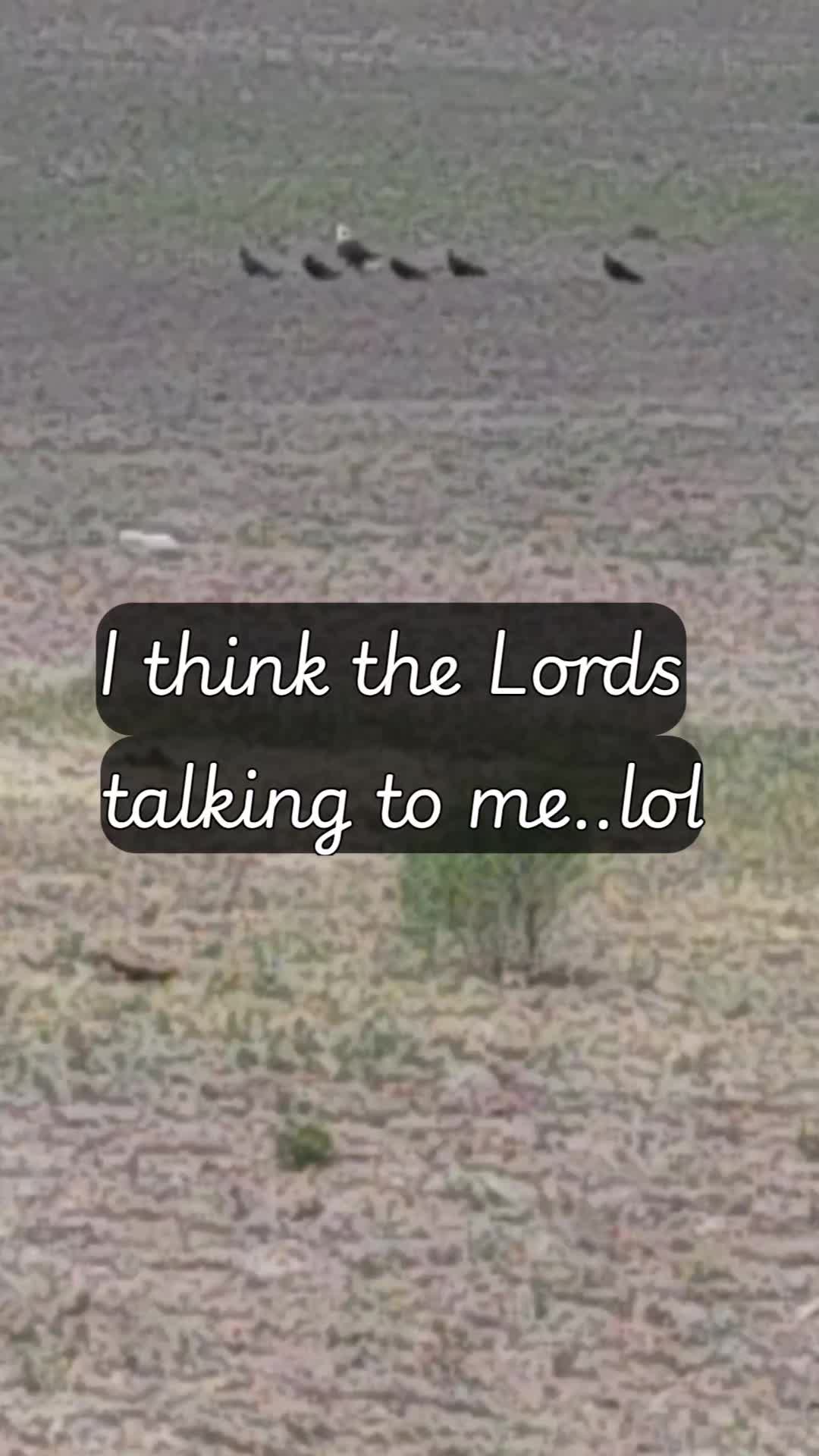 @Sid