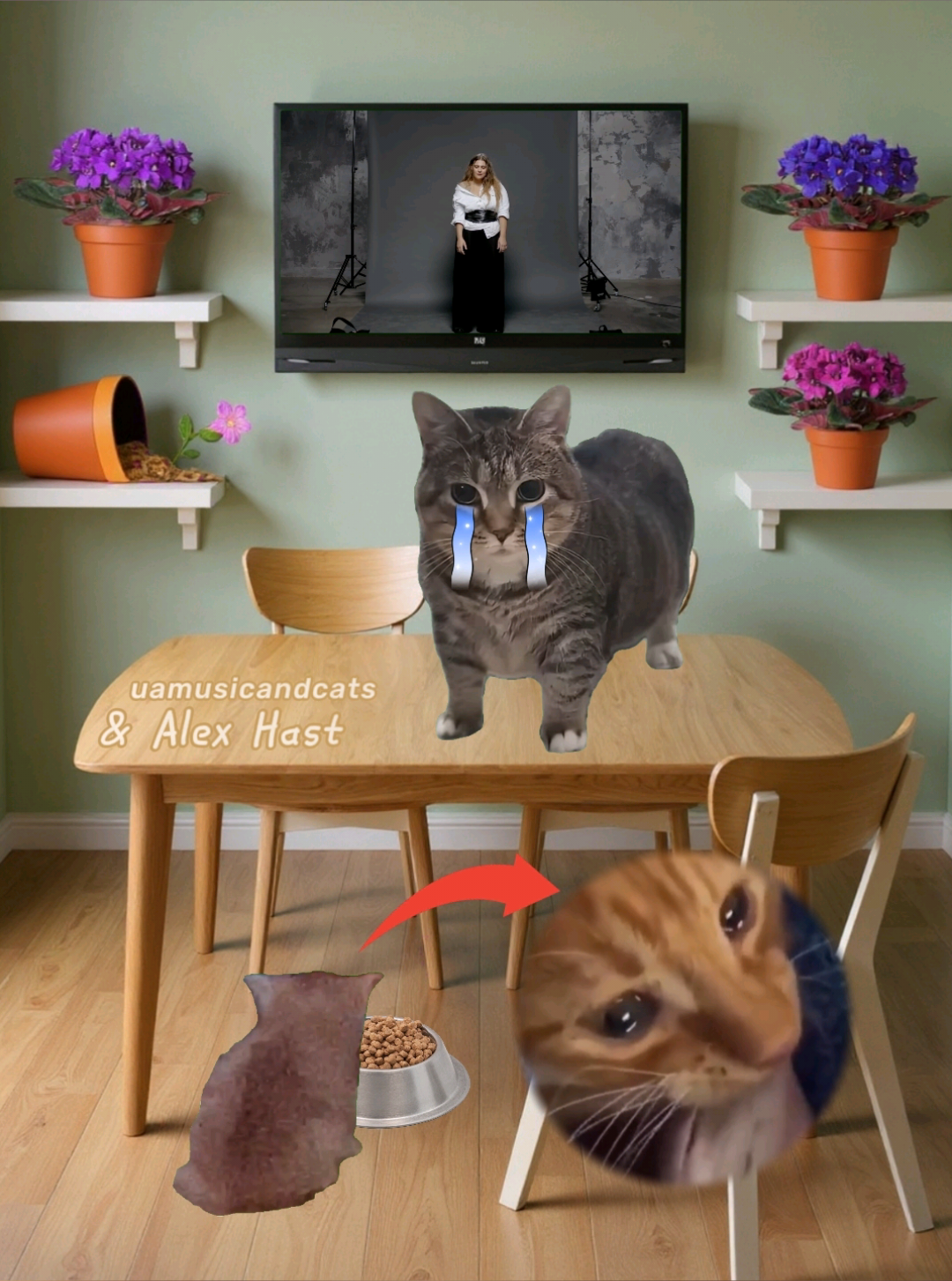 @🎧 музика і котики 🐱