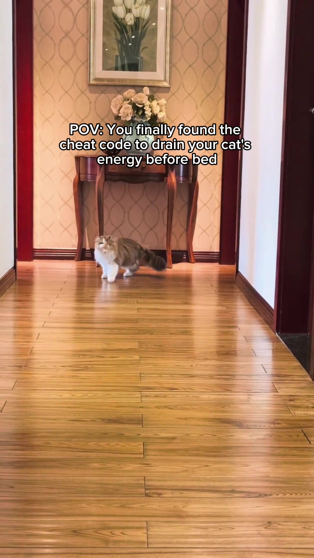 @Purrfect Oasis