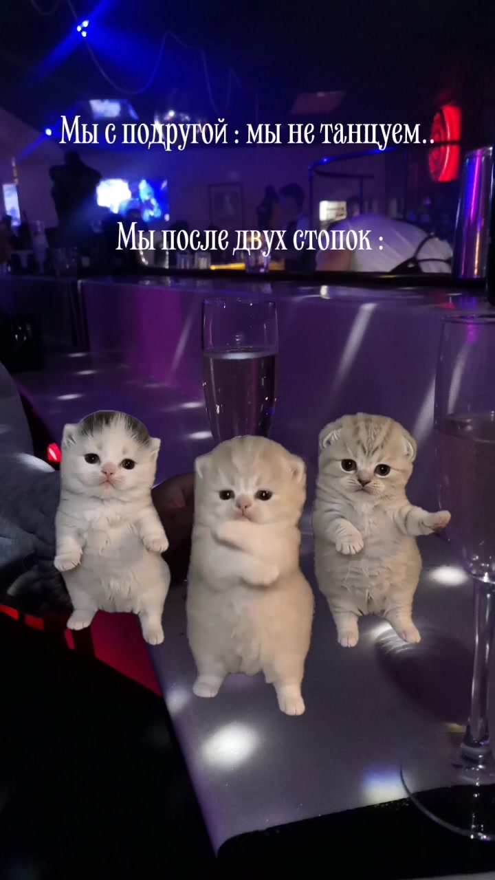 @любительница Audi ❤️