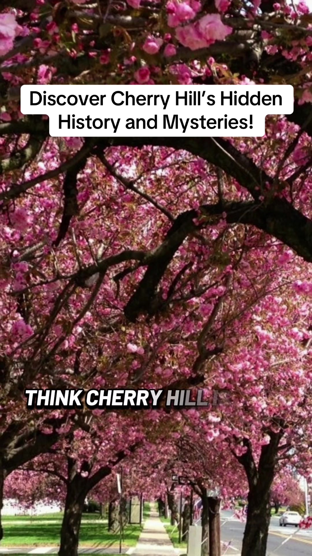 @TravelAdventureWithMe