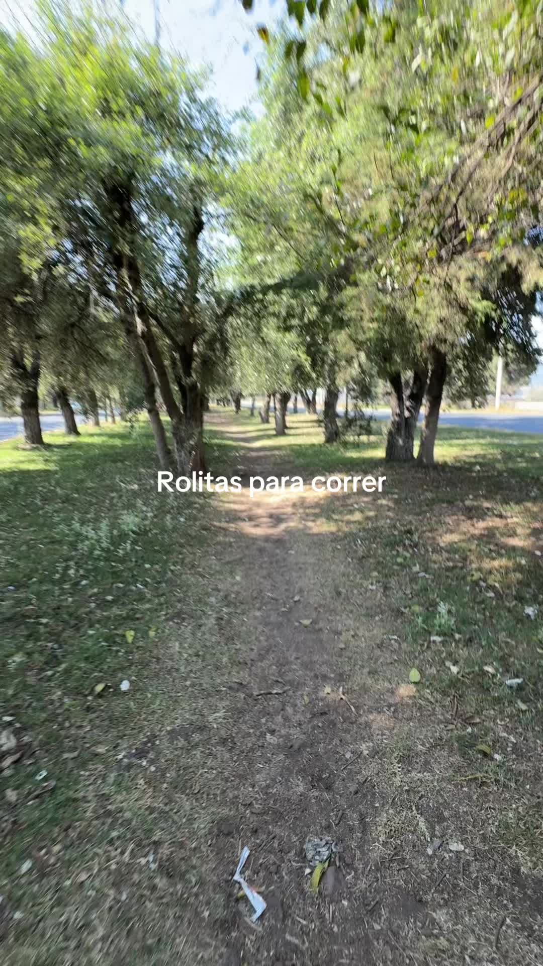 @jesus rafael contrer