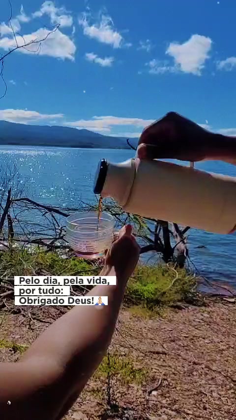 @Dani silva