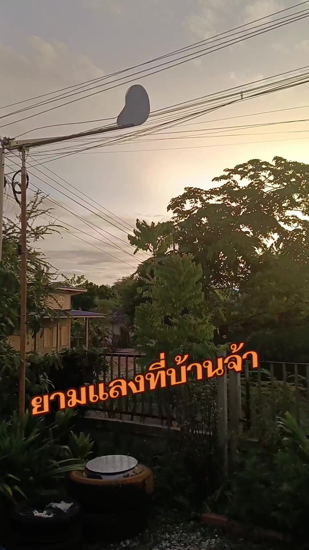 @pranee