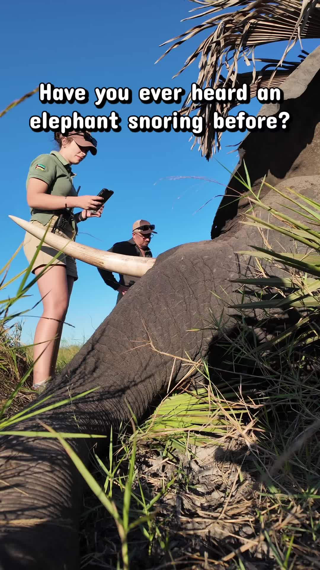 @TheFunnyFarmMom