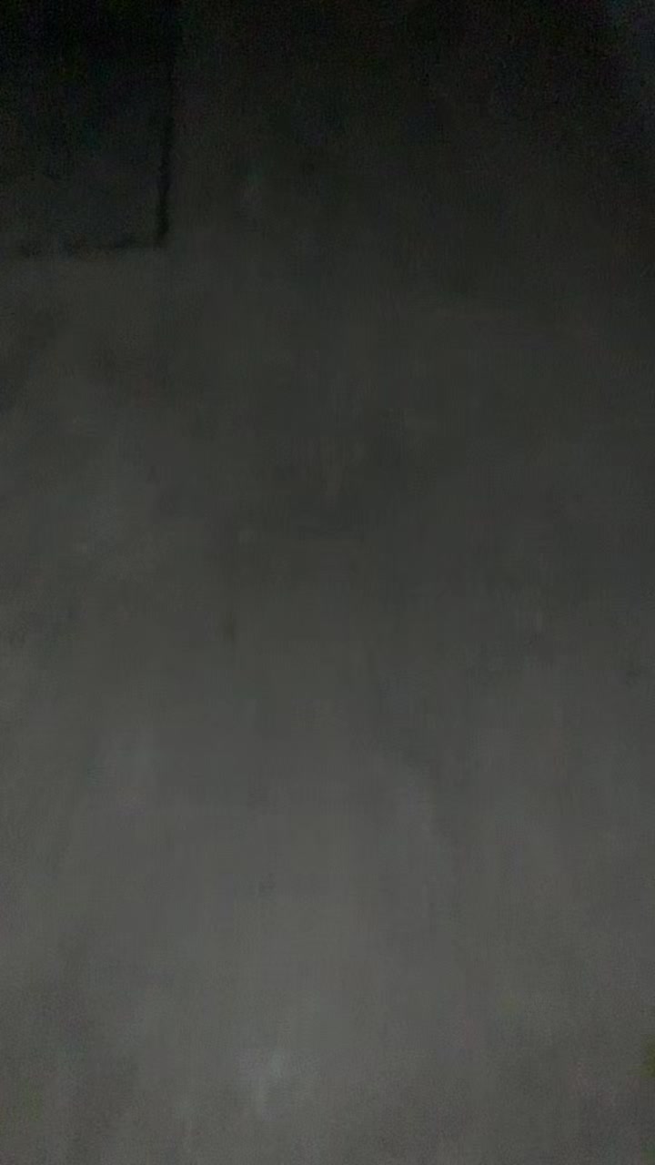@meiow_zizo