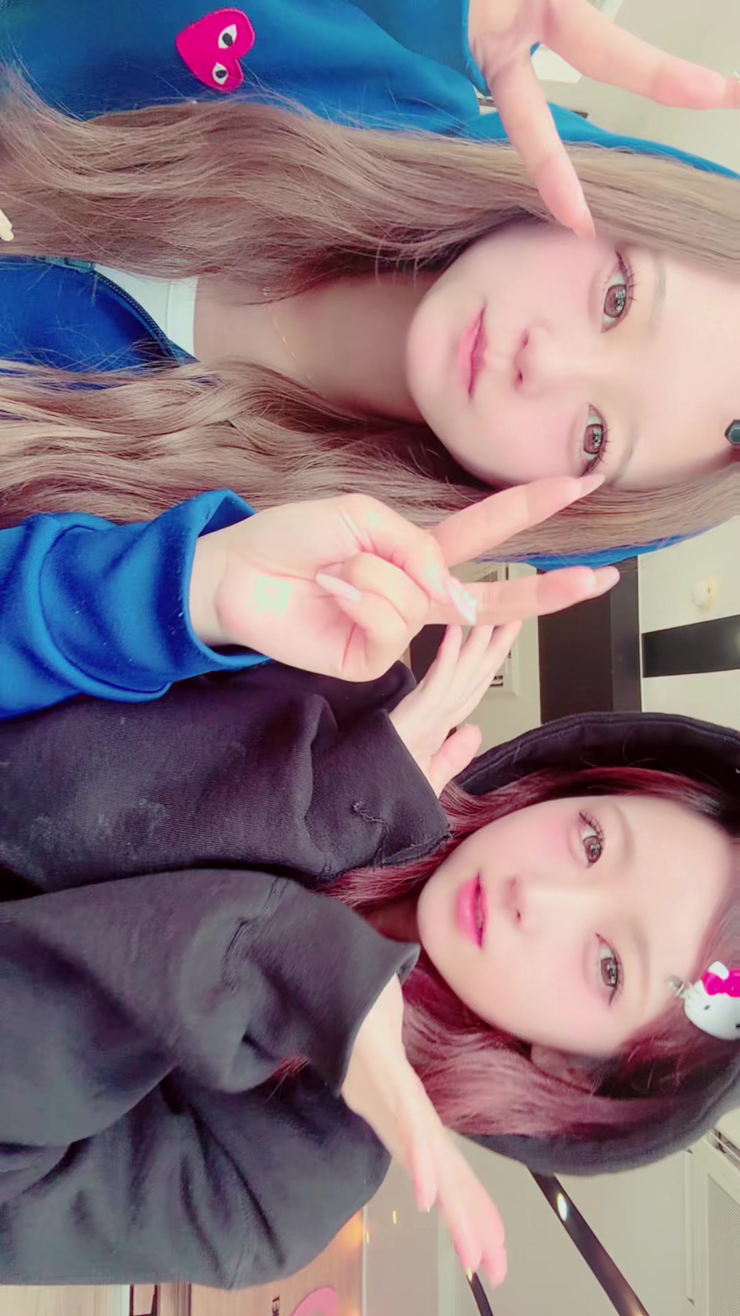 @ありにゃ