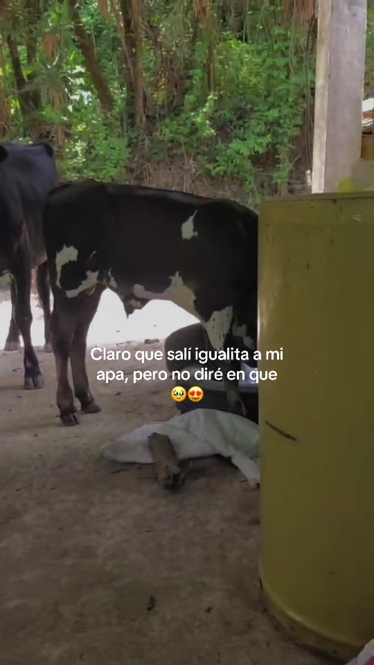 @Alvarado_Y