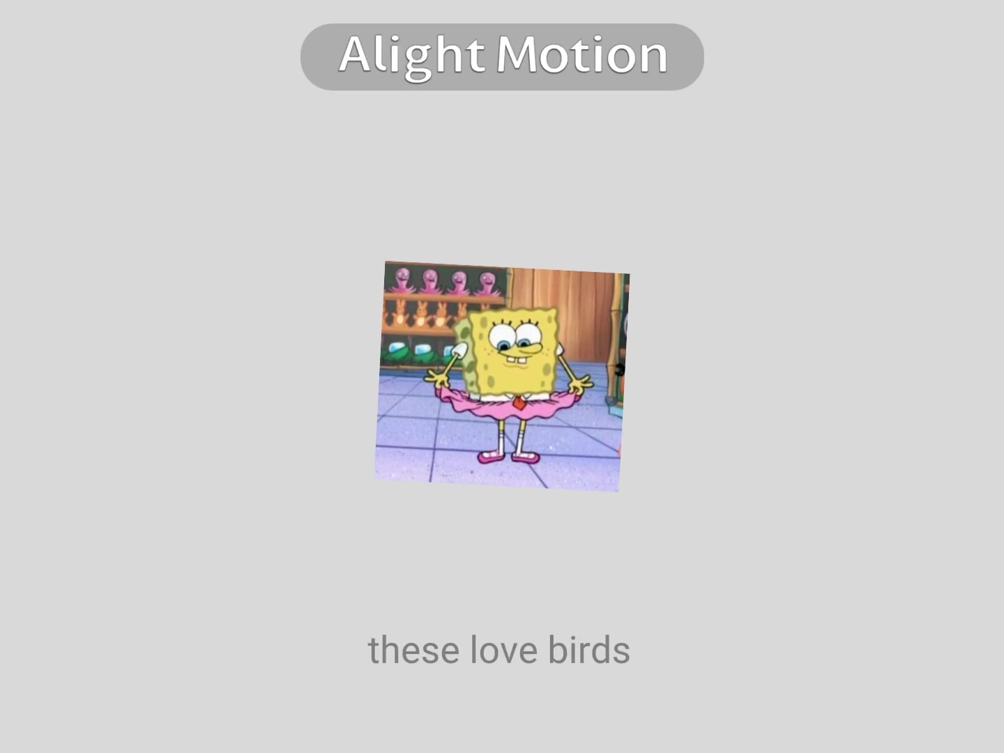 @๐๐๐ .แ