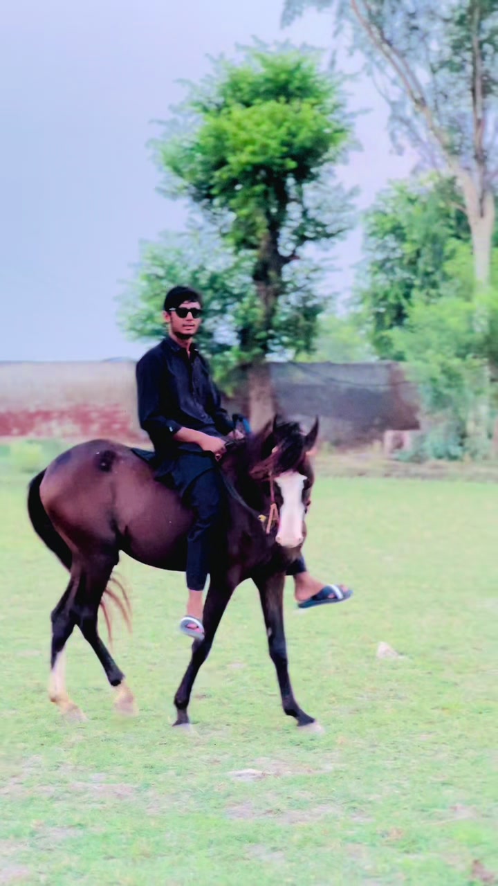 @کرم کھرل🦅