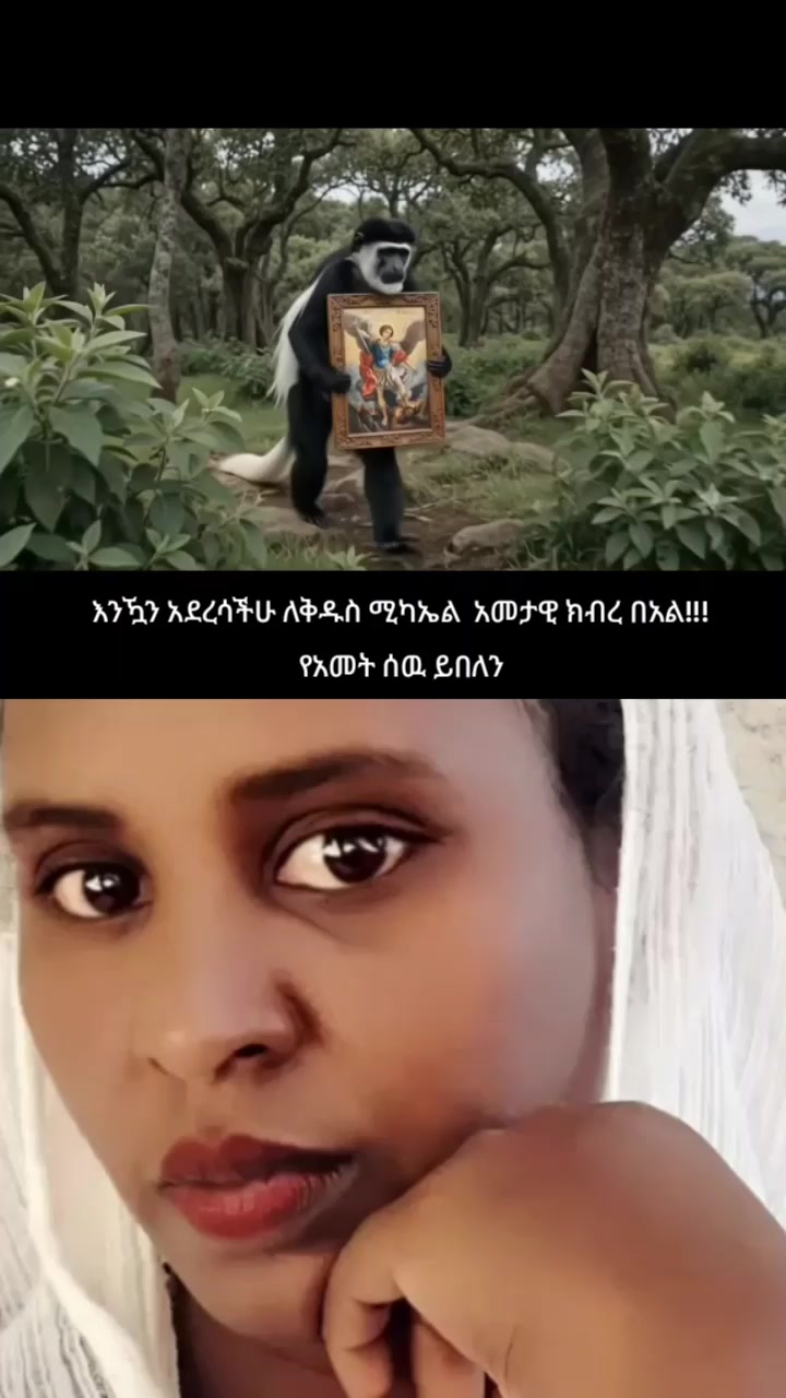 @Tewubeshal kinfe