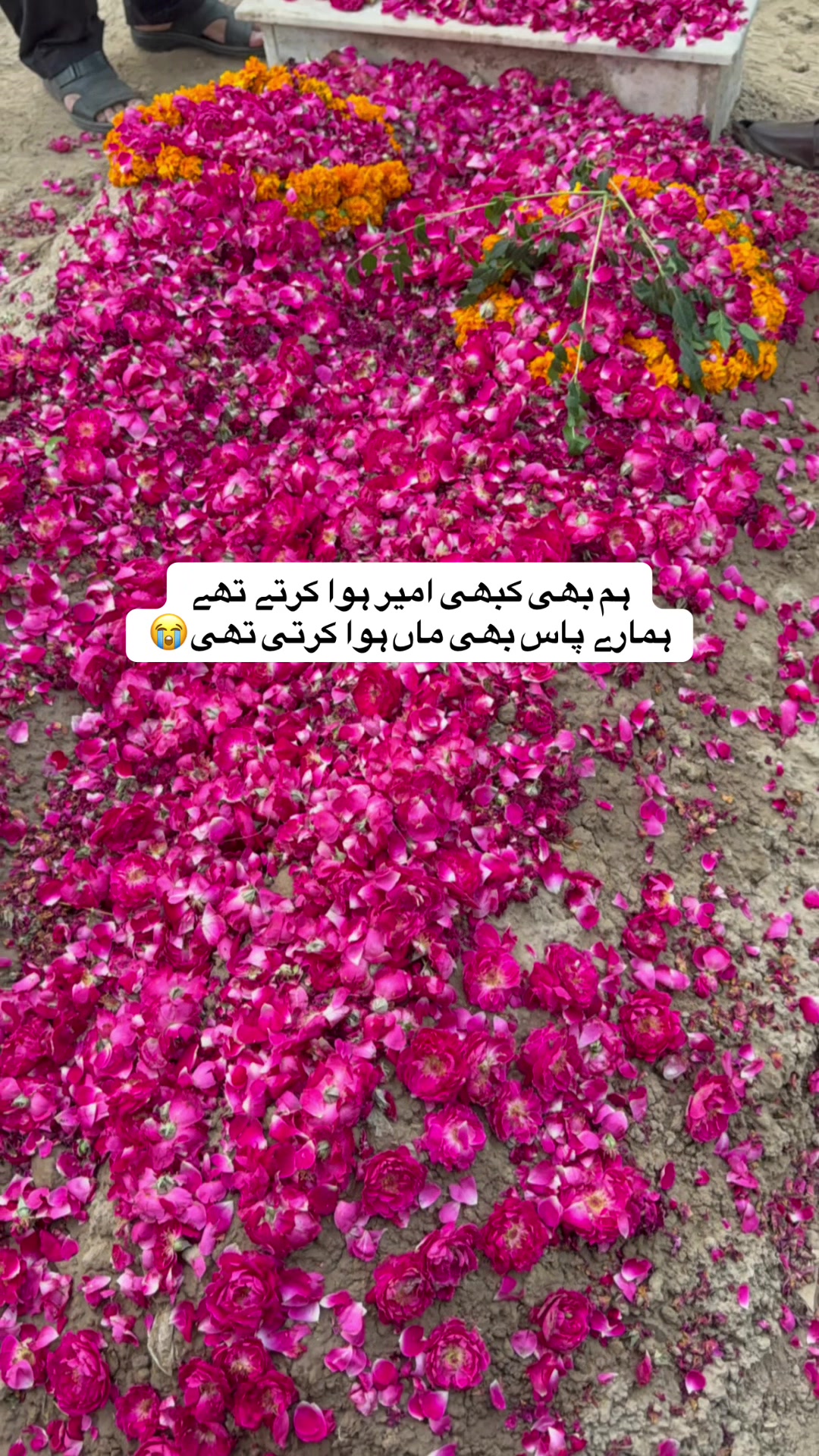 @سردارنی🥷🏻