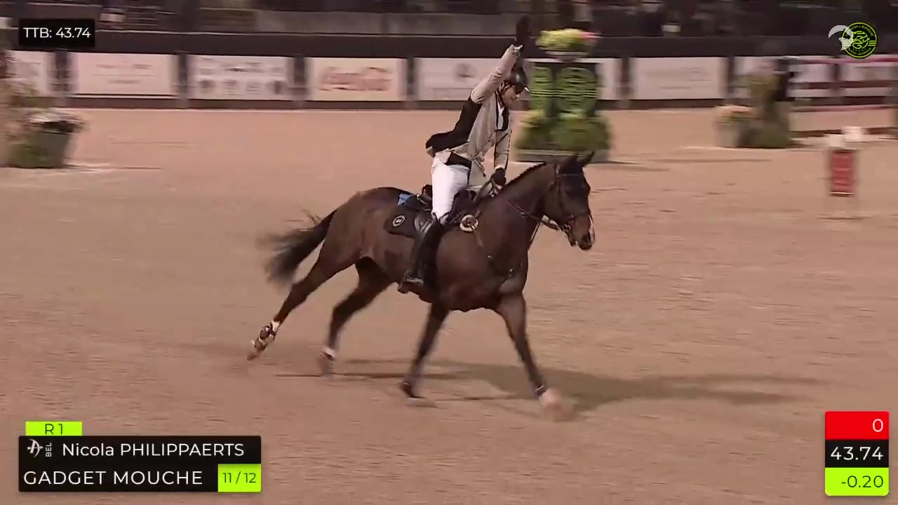 @Major League Show Jumping