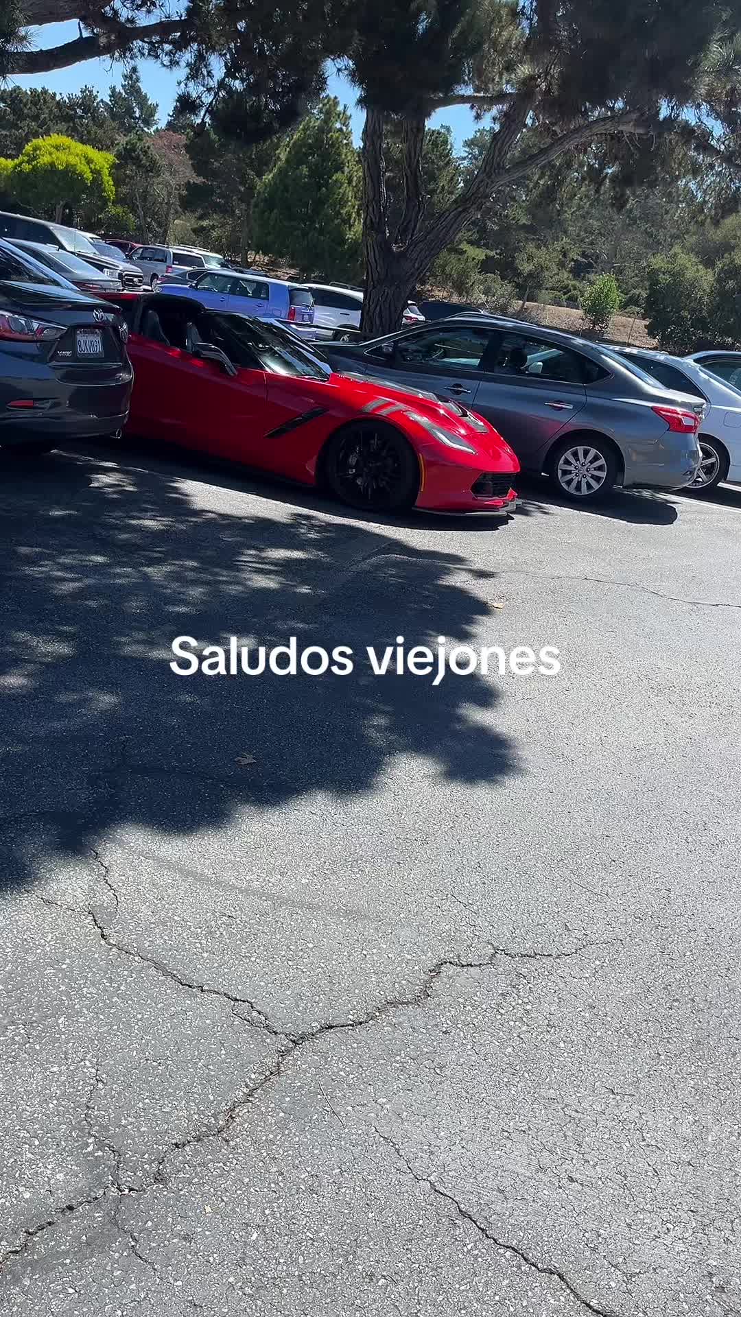 @Zr1