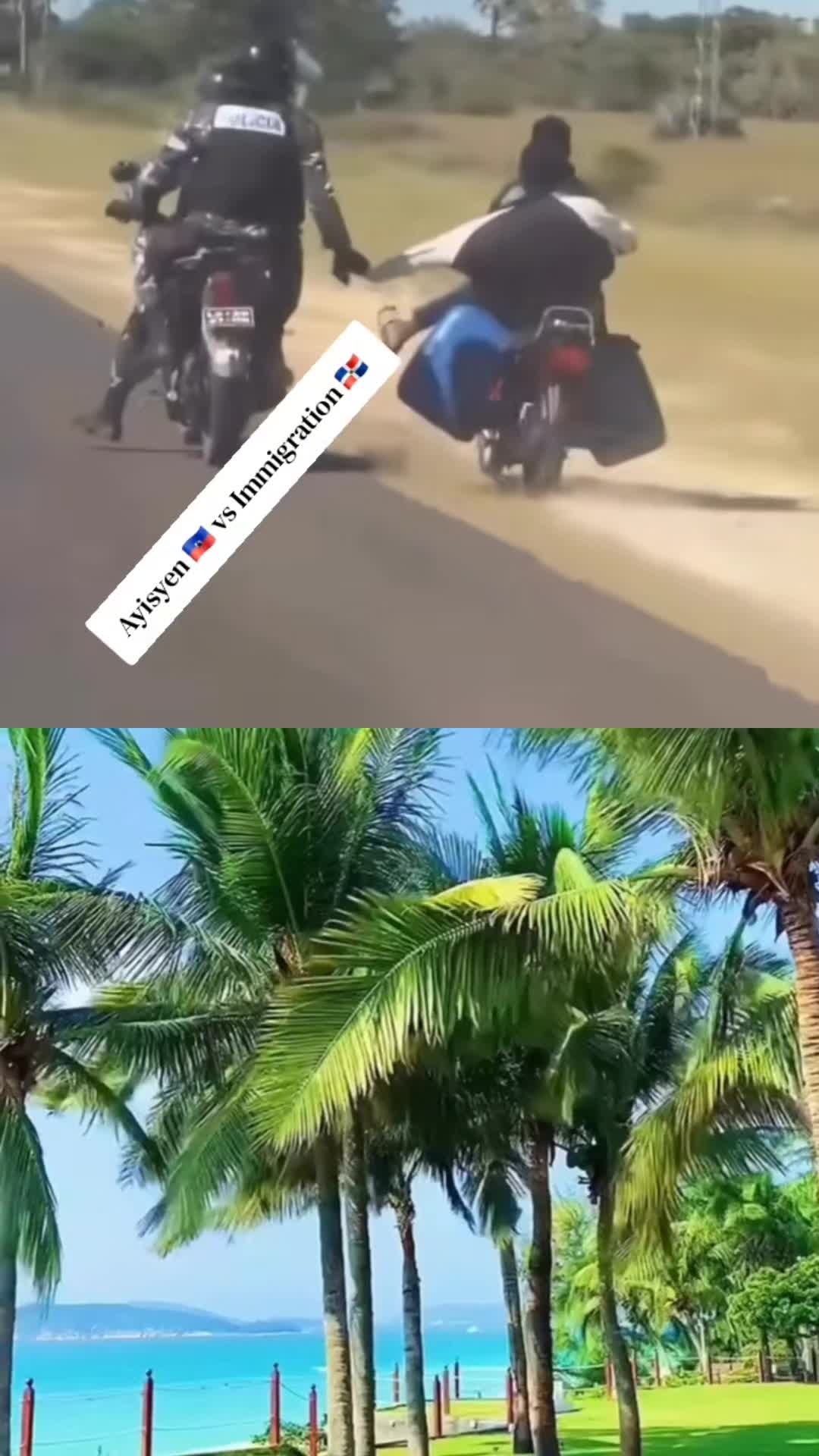 @Dodo