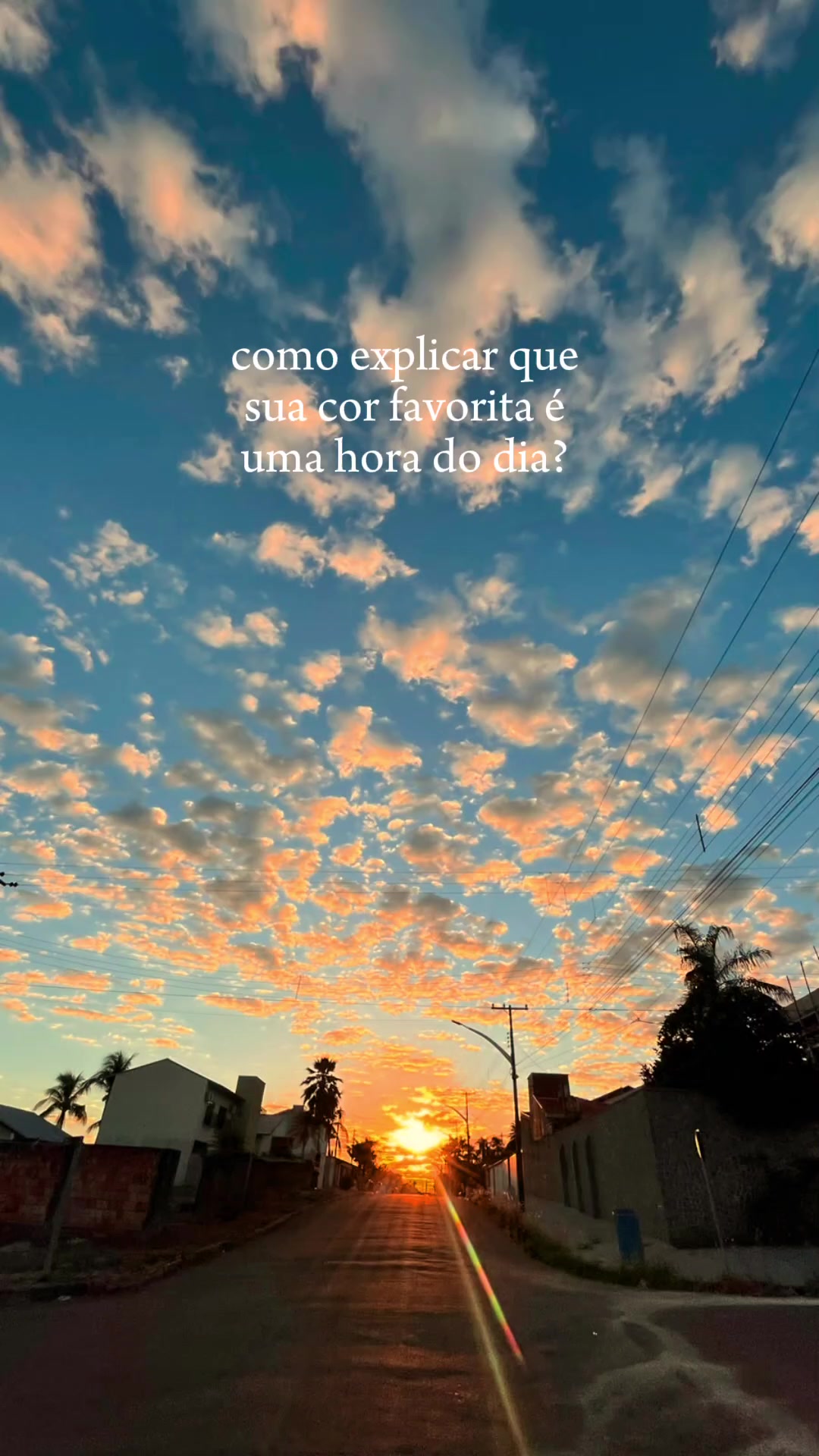 @vernek