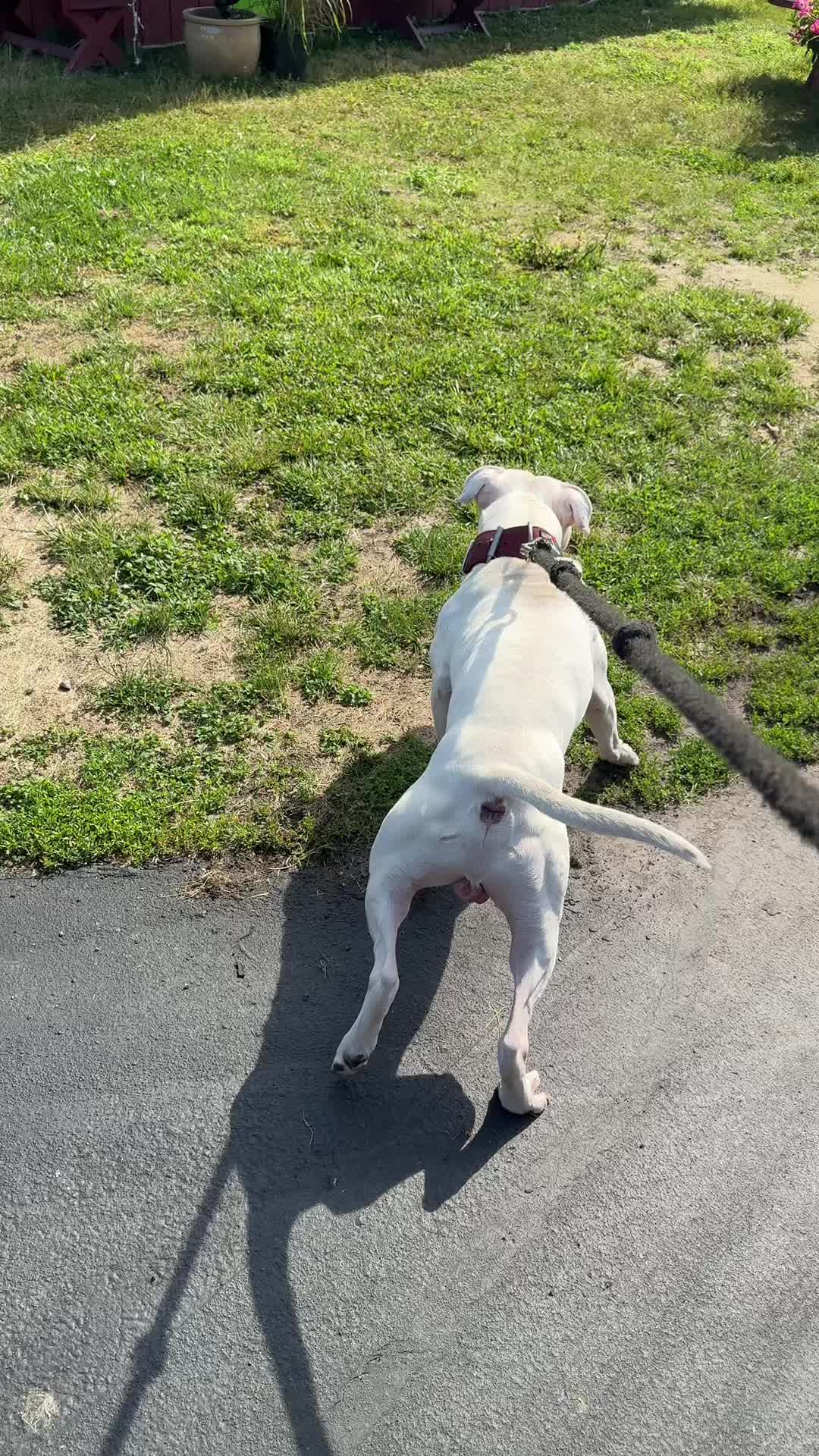 @Rocha_apbt